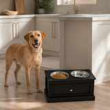 Dog standing beside the ElevateServe feeding station at mealtime
