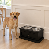 Medium dog standing beside the ElevateServe feeding station for scale