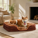 Dog resting in the brown raised-bolster dog bed in a living room