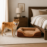 Medium dog standing beside the brown raised-bolster dog bed for scale