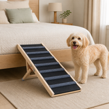 Medium dog standing beside the GlideStep pet ramp for scale